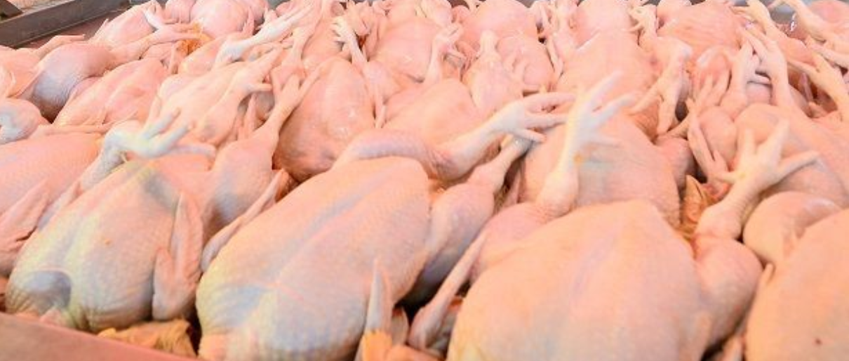 Agrobank pastikan bekalan ayam di ladang stabil