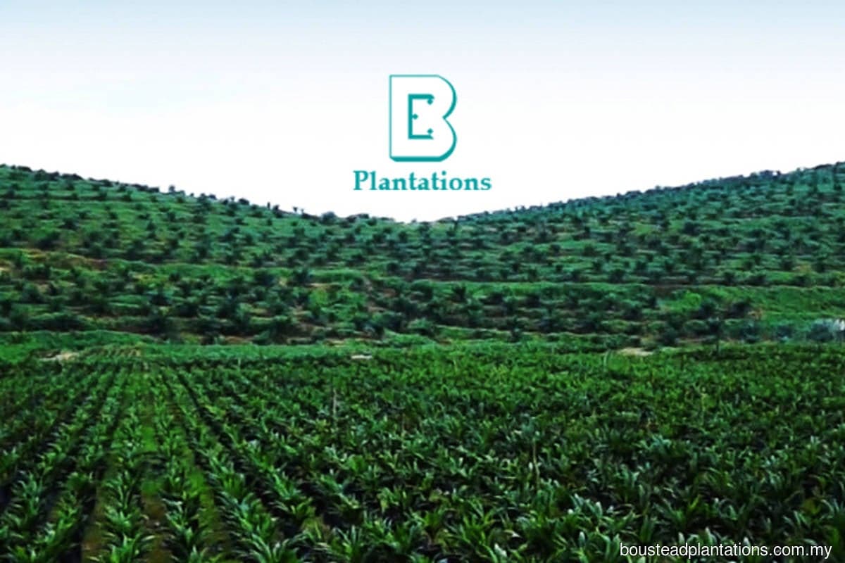 Harga saham Boustead Plantation melonjak selepas tak jadi dibeli KLK