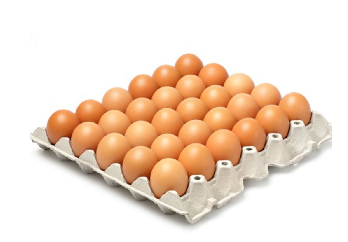 Kerajaan pertimbang tamatkan subsidi telur ayam – Mohamad Sabu