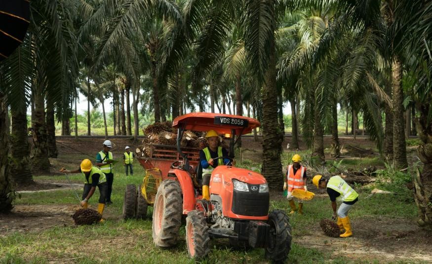 FGV kembali catat untung bersih pada suku tahun pertama sebanyak RM36.48 juta